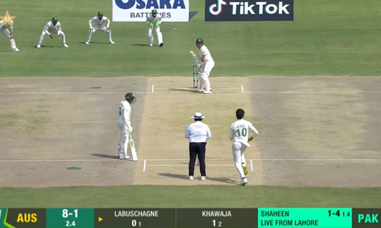 Cricket Image for PAK vs AUS: कंगारूओं पर कहर बनकर टूटे शाहीन अफरीदी, 3 गेंदों में किया वॉर्नर-लाबुश