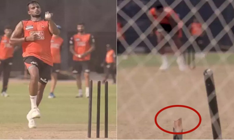 Cricket Image for VIDEO : नटराजन ने प्रैक्टिस में तोड़ी स्टंप, वापस आ रहा है पुराना 'यॉर्कर किंग'