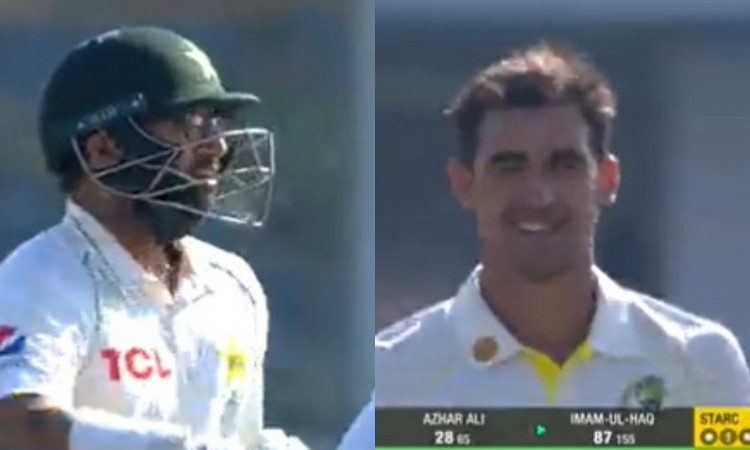 Cricket Image for VIDEO : इंज़माम के भतीजे ने सिखाया स्टार्क को सबक, बेबस दिखा ऑस्ट्रेलिया का सुपरस्