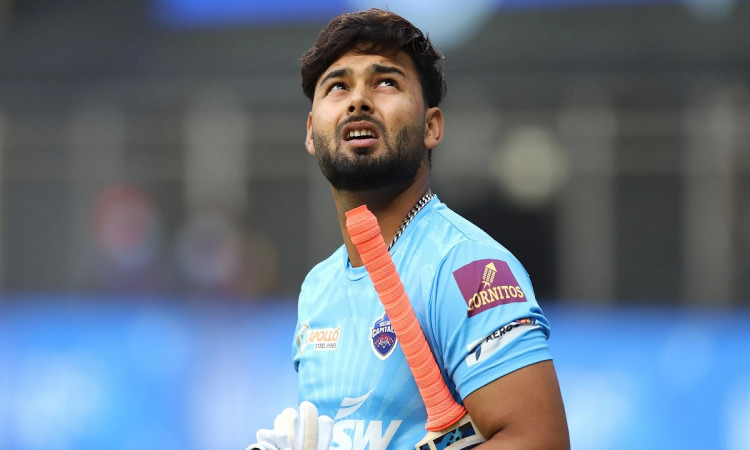 Cricket Image for Rishabh Pant Can Only Continue To Get Better, Says Shane Watson