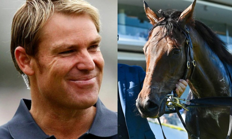 Cricket Image for Shane Warne Owned Horse 'Sacred Oath' To Race In Maiden Plate