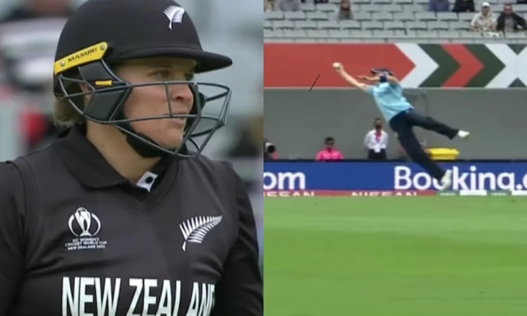 Cricket Image for WATCH: England Skipper Heather Knight Takes A One Handed Stunner Against New Zeala