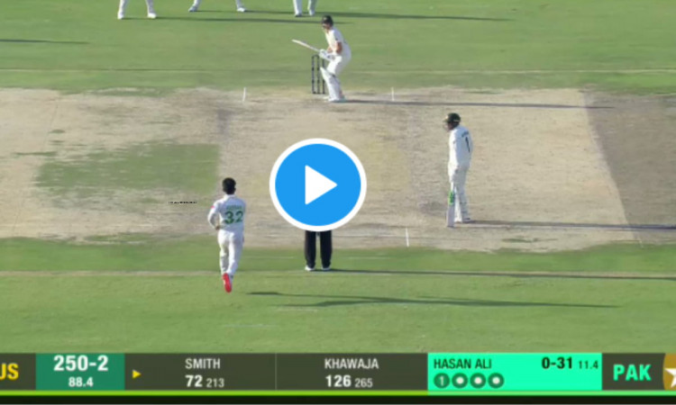 Cricket Image for VIDEO: फहीम अशरफ ने स्लिप पर दिखाई चीते जैसी फुर्ती, हैरतअंगेज कैच लपककर स्मिथ को 