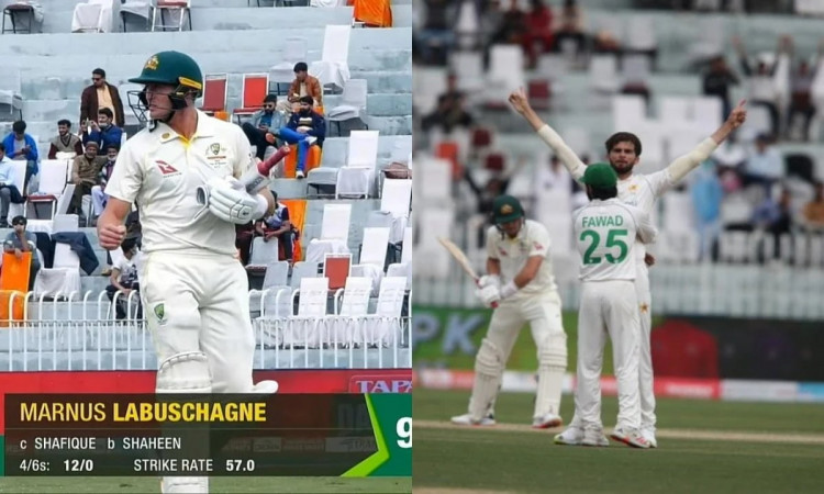 Cricket Image for WATCH: Shaheen Afridi Stops Labuschagne From Scoring Maiden Ton Outside Australia