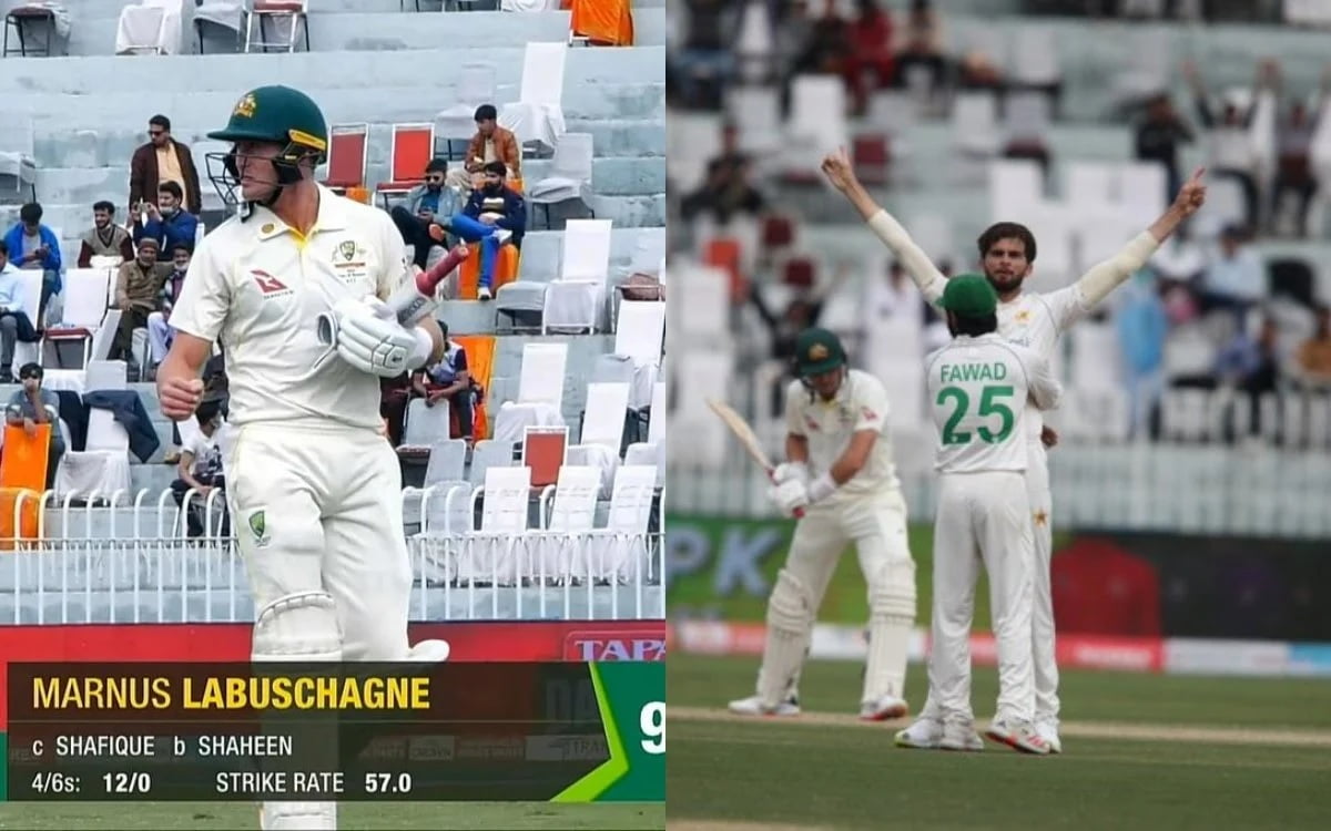 WATCH: Shaheen Afridi Stops Labuschagne From Scoring Maiden Ton Outside ...