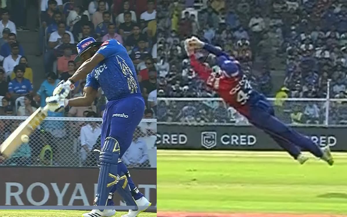 Cricket Image for टिम सेफर्ट बने 'सुपरमैन', हवा में उछलकर लपका लिया हैरतअंगेज कैच, देखें VIDEO