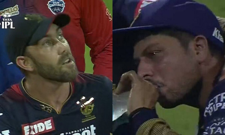 Cricket Image for VIDEO : मैक्सवेल बने कुलदीप यादव का काल, 6 गेंदों में जमकर मचाई तबाही