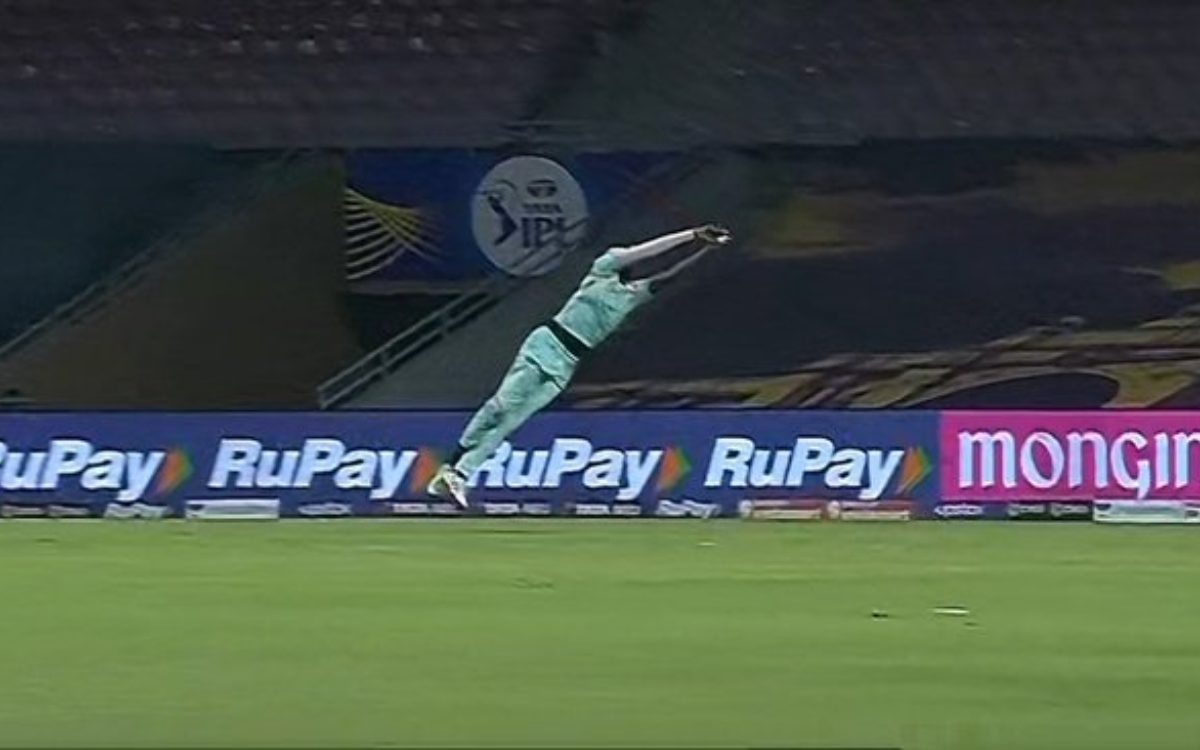 Cricket Image for VIDEO : हवा में उड़े 6'7 लंबे होल्डर, पकड़ लिया मैक्सवेल का करिश्माई कैच