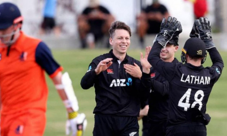 Taylor signs off with winning catch as New Zealand whitewash Netherlands
