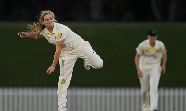 Cricket Image for Sophie Molineux Dropped From Cricket Australia Contract List; Alana King Added