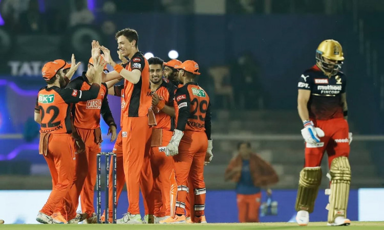 Cricket Image for Sunrisers Hyderabad Dominate Royal Challengers Bangalore  