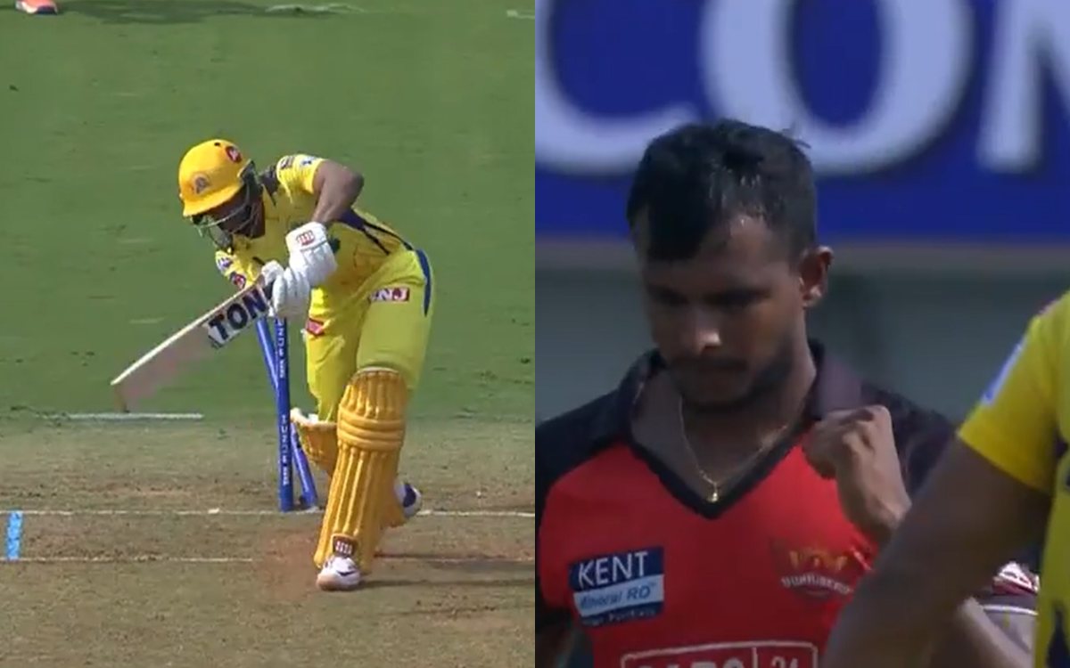 Cricket Image for WATCH: Natarajan Cleans Up Gaikwad Early With A 'Dreamy' Full-Length Delivery