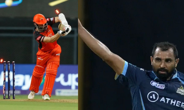 Cricket Image for WATCH: Shami Dazzles Williamson Yet Again; Knocks Over SRH Captain Inside The Powe