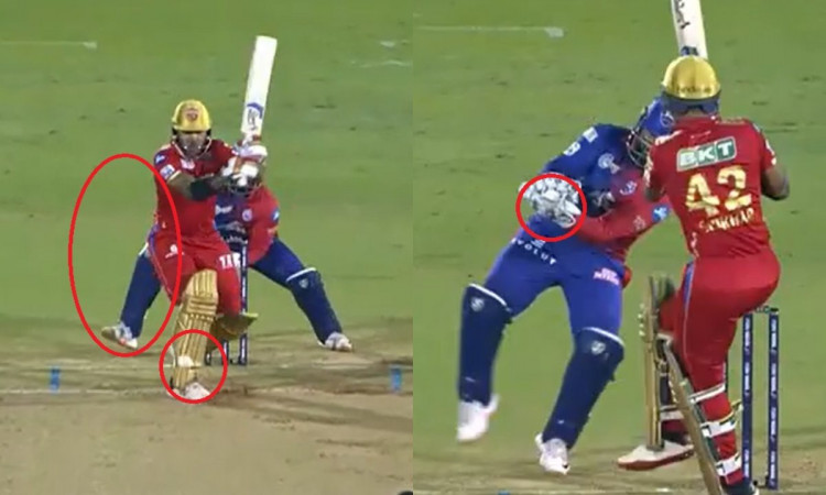 Cricket Image for WATCH: 'Spiderman' Rishabh Pant's Swift Take To Dismiss Shikhar Dhawan