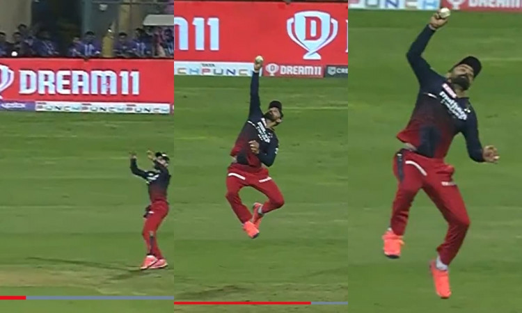 Cricket Image for विराट ने लिया रन आउट का बदला, हवा में उछलकर एक हाथ से लपका कैच; देखें VIDEO