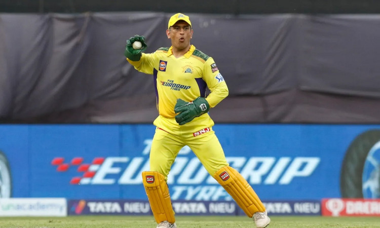 Cricket Image for Dhoni's Cool Demeanour Takes The Pressure Off, Says CSK Teammate Dwaine Pretorius