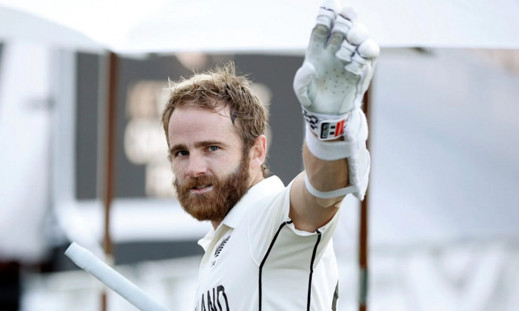 Cricket Image for Return To Test Cricket Will Suit Kane Williamson's 'Game', Reckons Gary Stead