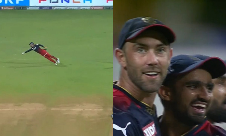 Cricket Image for WATCH: Glenn Maxwell's One-Handed Screamer To Provide An Early Wicket In Important