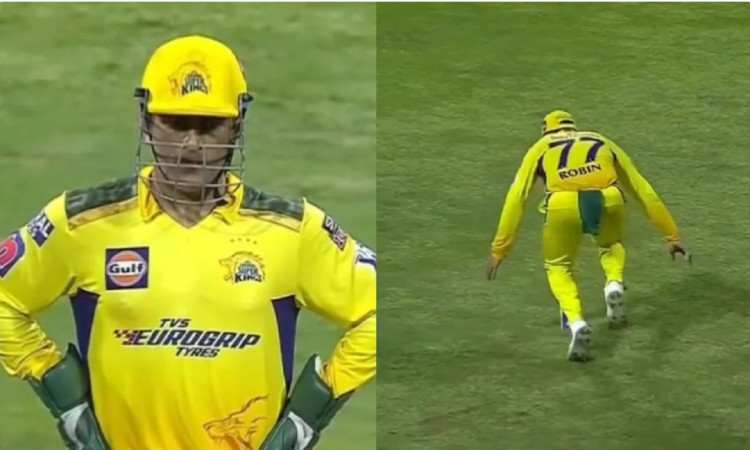 Cricket Image for WATCH: MS Dhoni's Reaction After 36-Year Old Uthappa Misfields & Gives Away A Four