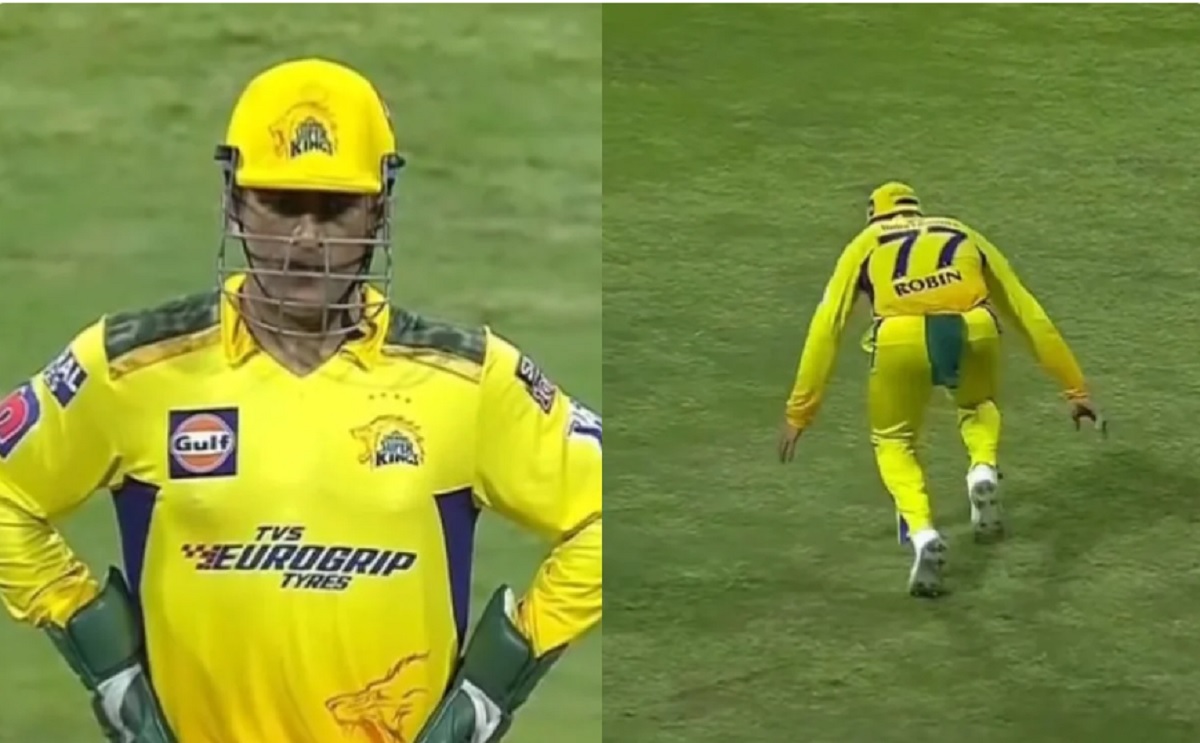 Cricket Image for WATCH: MS Dhoni's Reaction After 36-Year Old Uthappa Misfields & Gives Away A Four