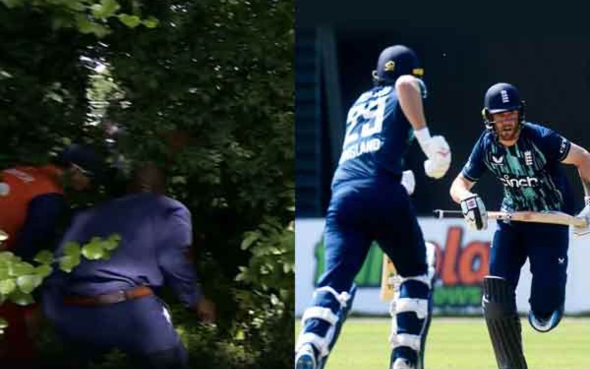 Cricket Image for VIDEO : डेविड मलान के छक्के से गुम हुई गेंद, गली क्रिकेट की तरह झाड़ियों में गेंद 