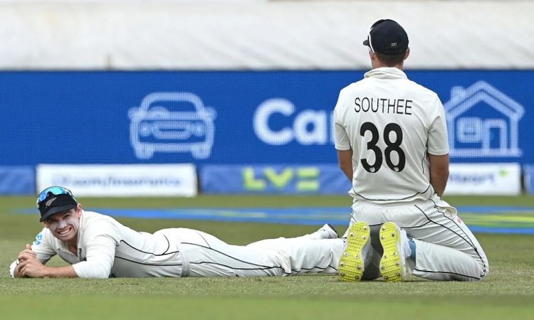 Cricket Image for Fans' Disappointment With The Kiwis Performance Against England Is A 'Positive Sig
