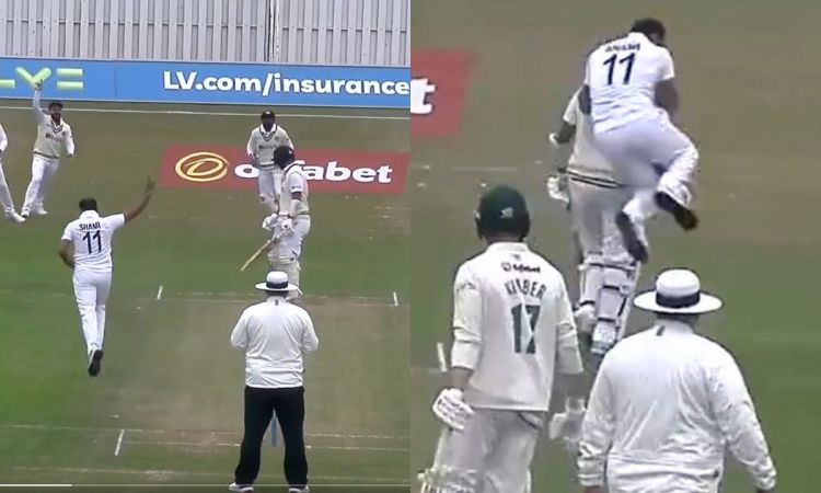 Cricket Image for Shami Jumps On Pujara After Dismissing The In-Form Batter On A Duck; Watch Video H