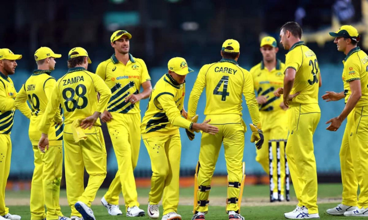 Cricket Image for मिचेल स्टार्क या पैट कमिंस नहीं, शेन वॉटसन ने बताया ऑस्ट्रेलिया के बेस्ट T20 गेंदब