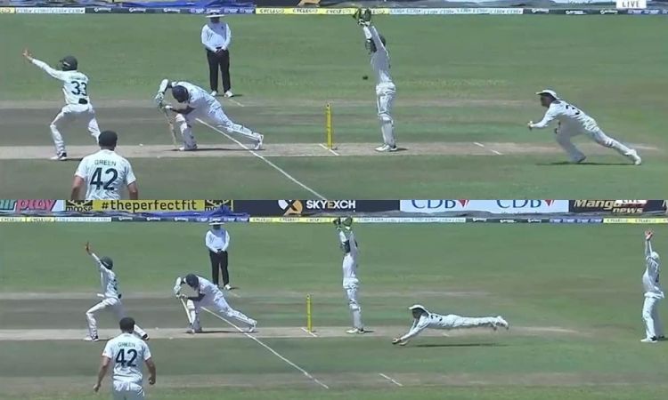 Cricket Image for वीडियो: डेविड वॉर्नर ने किया अंपायर को मजबूर, LBW की अपील के बीच छलांग लगाकर पकड़ 