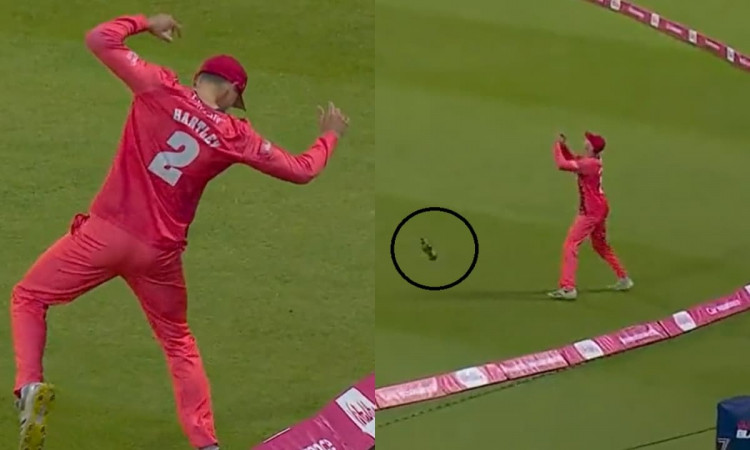 Cricket Image for Live मैच में दिखी शर्मनाक हरकत, फैंस ने खिलाड़ी पर फेंकी शराब की बोतल; देखें VIDEO