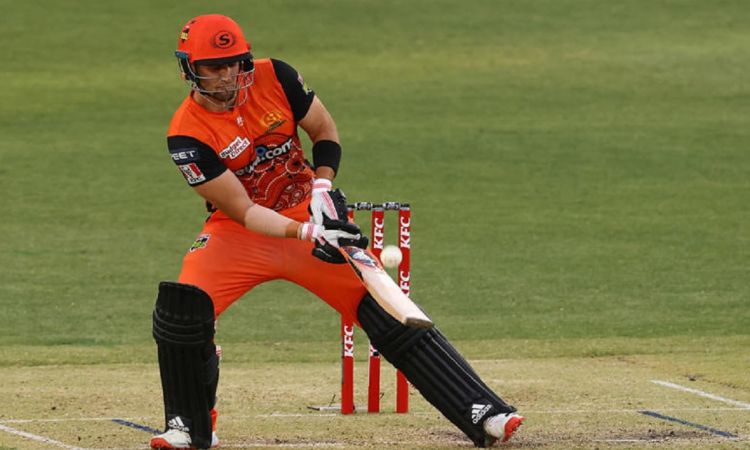 Cricket Image for English Batter Liam Livingstone & Alex Hales To Draft Names For BBL-12