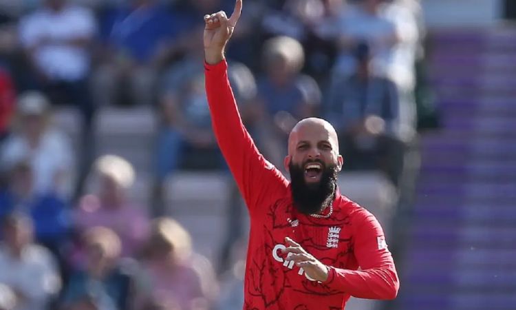 Cricket Image for Sometimes You Learn More From Losing Games: Moeen Ali