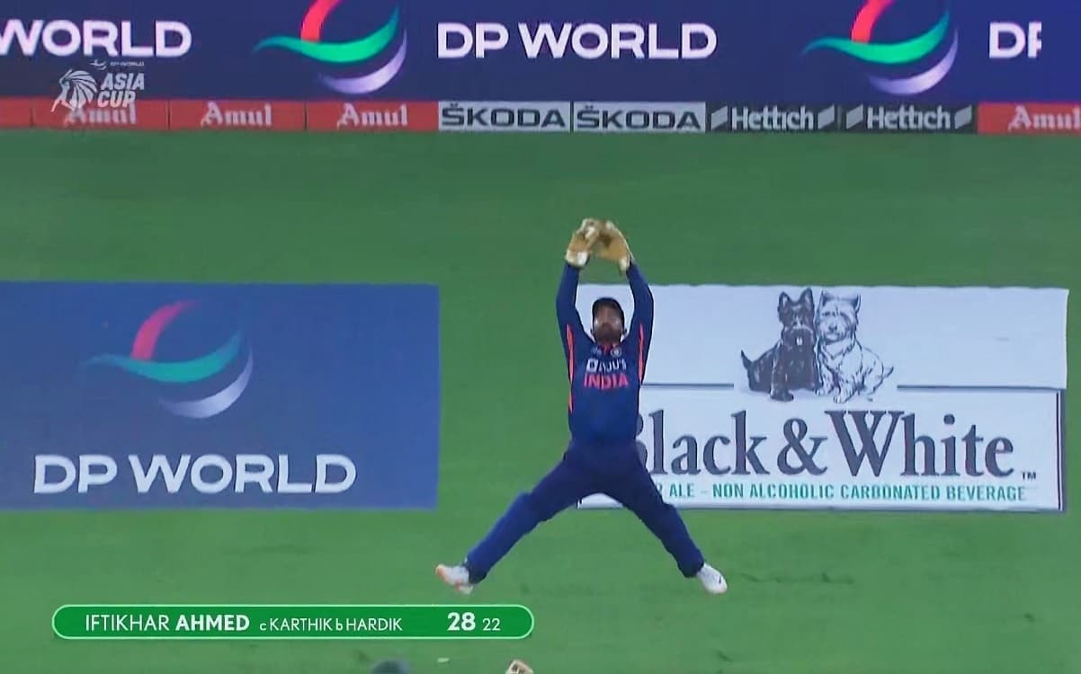 Dinesh Karthik stretches full length to take a stunning catch Watch Video