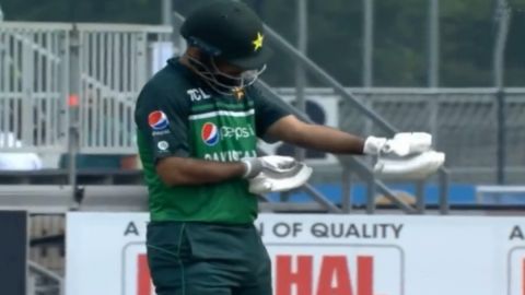 Cricket Image for Ned Vs Pak Fakhar Zaman In Pain After Wasp Stings