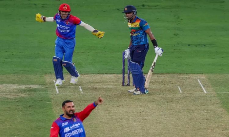 Cricket Image for Asia Cup 2022: Afghanistan's Excellent Bowling Efforts Puts Sri Lanka In Trouble I