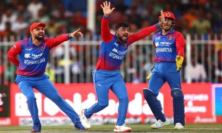 Cricket Image for Asia Cup 2022: Mujeeb, Rashid Helps Afghanistan Restrict Bangladesh To 127/7