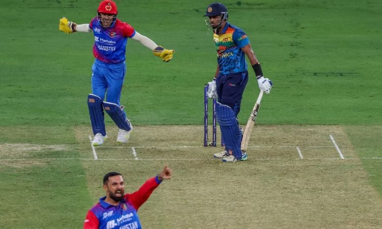 Asia Cup 2022: Afghanistan Bowlers Wreak Havoc, Bowl Out Sri Lanka For 105