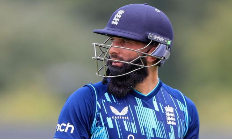 Cricket Image for Moeen, Woakes, Malan & Nabi Joins Sharjah Warriors For UAE's ILT20