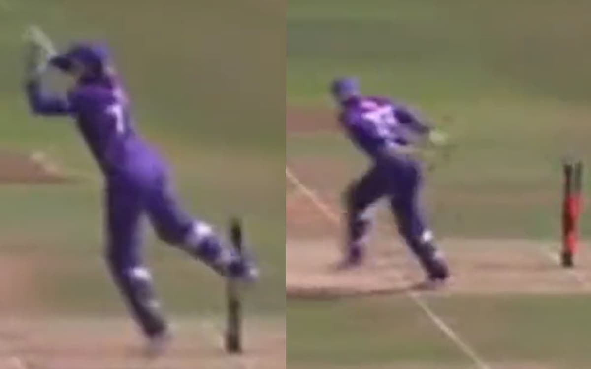 Cricket Image for VIDEO: एलिया हिली ने दिलाई थाला की याद, बिना देखे धोनी के अंदाज में बैटर को किया र