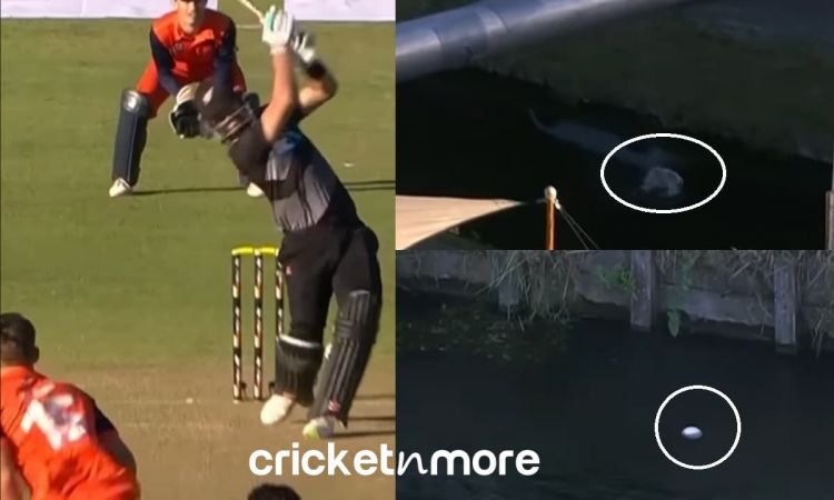Cricket Image for डेरिल मिचेल ने नहीं किया गेंदबाज़ का लिहाज, लगातार छक्के जड़कर Pond में फेंकी गेंद