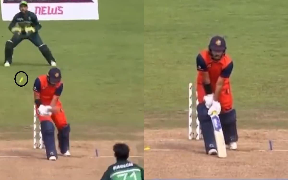 Cricket Image for VIDEO: मूसा Shocked, नसीम शाह Rocked; पल भर में नचाई गिल्लियां