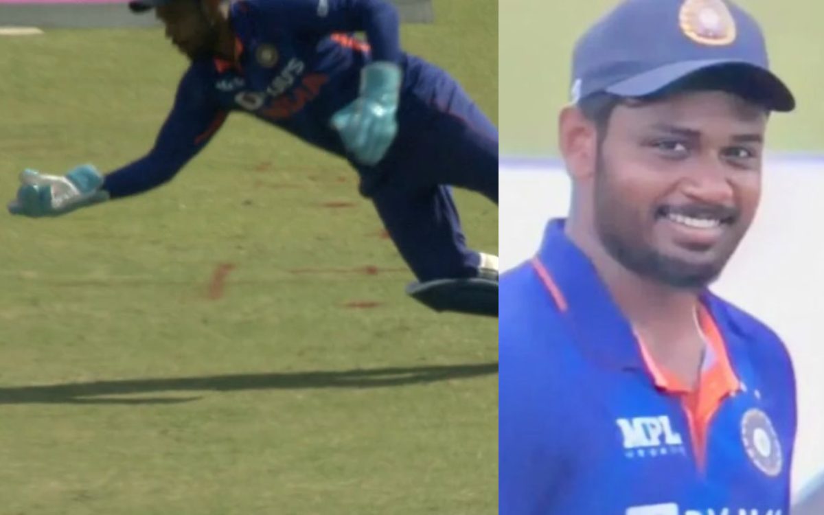 Cricket Image for WATCH: Sanju Samson's One-Handed Stunner Behind The Wicket To Dismiss Kaitano