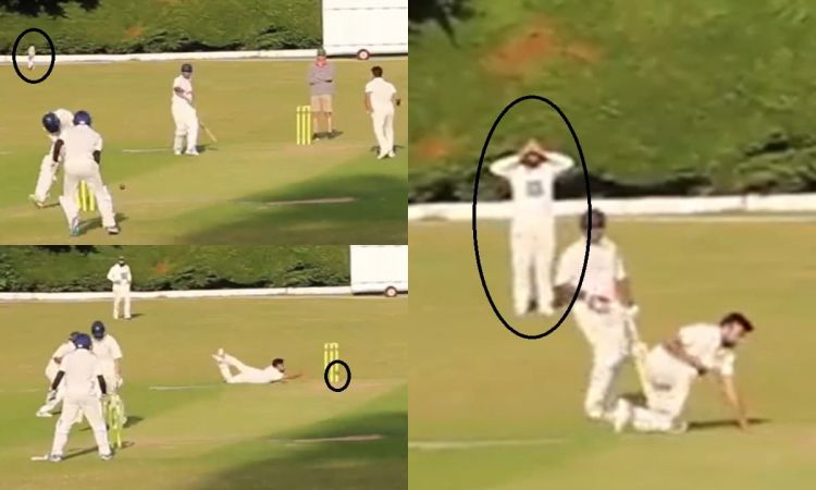 Cricket Image for 17 सेकंड में एक नहीं दो बार बचे बल्लेबाज़, फिर फील्डर ने भी पकड़ा लिया सिर; देखें 