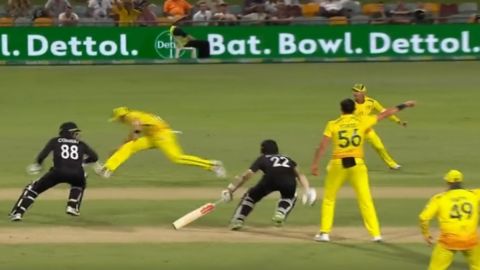 Cricket Image for Australia Vs New Zealand Cricket Funny Video Aus Vs Nz 