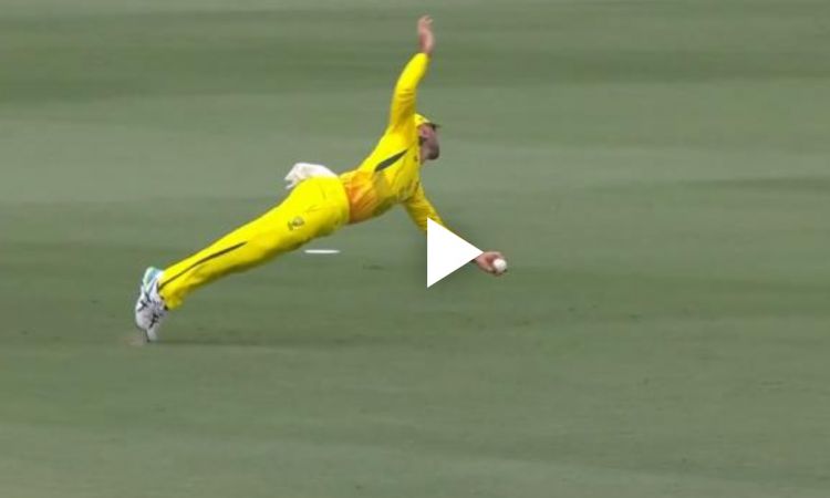  Glenn Maxwell Great catch at backward point to remove Martin Guptill