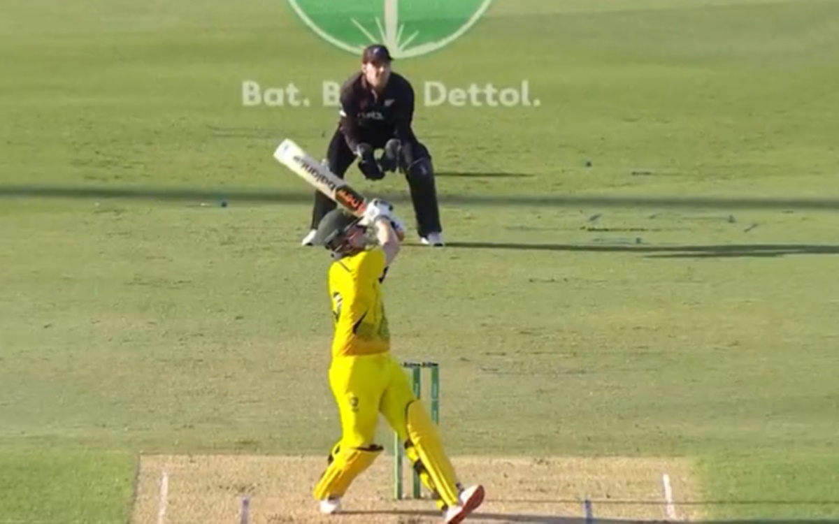 Cricket Image for Aus Vs Nz Steve Smith Game Awareness Tells Umpire To Give No Ball