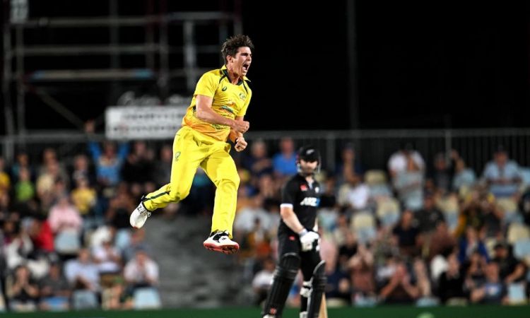 Cricket Image for Australia Clinch ODI Series With A 113-Run Win Against New Zealand In 2nd ODI