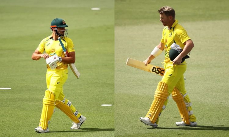 Cricket Image for David Warner & Marcus Stoinis To Miss 3rd ODI Between Australia & New Zealand