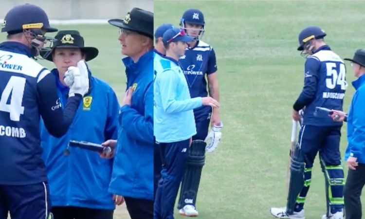 Cricket Image for Fans Left Fuming After Comical Finish To Nsw And Victoria Domestic One Day Match