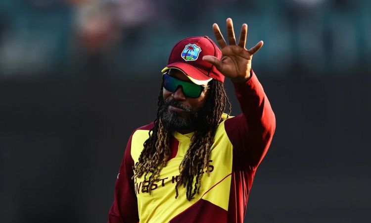 Cricket Image for Chris Gayle To Be In Action For Gujarat Giants In Legends Cricket League